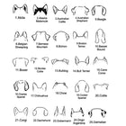 Personalized Dog Memorial Keychain - Pet Loss Keepsake - Sympathy Gift for Dog Lovers, Dog keychain